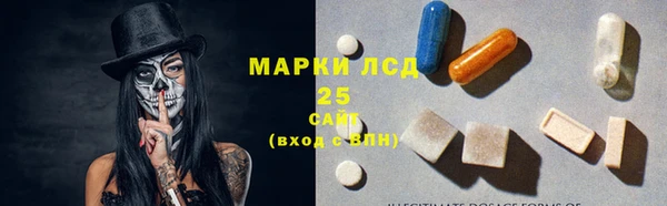 тгк Беломорск
