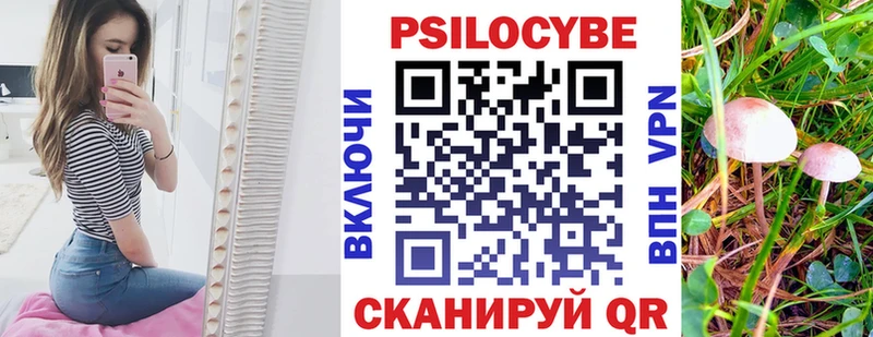 hydra tor  Белокуриха  Галлюциногенные грибы прущие грибы 